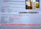 Cara Ampuh Mengobati Penyakit Leukemia Dengan Melia Propolis