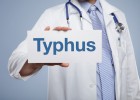 Pengobatan Ampuh Sembuhkan Penyakit Thypus/Tipes Dengan Melia Propolis